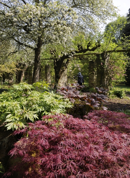 Newby Hall & Gardens